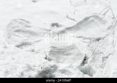 Sur le sentier de neige sous forme d'un ange Banque D'Images