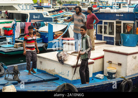 Male, Maldives - Le 16 novembre 2017 : les pêcheurs prendre gros thon à partir d'un bateau pour la livraison au marché de poisson de la ville et de l'île de Male, capitale de M Banque D'Images