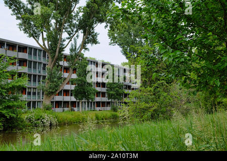 Jungle urbaine avec des arbres et l'architecture. L'harmonie de la ville et de la nature. vacances appartements avec arbres et herbe à Amsterdam, Pays-Bas Banque D'Images