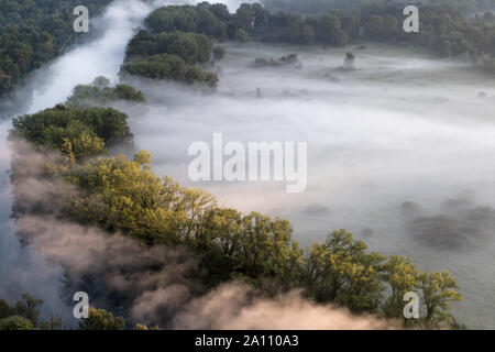 Premiers rayons de soleil sur la forêt de brouillard Banque D'Images