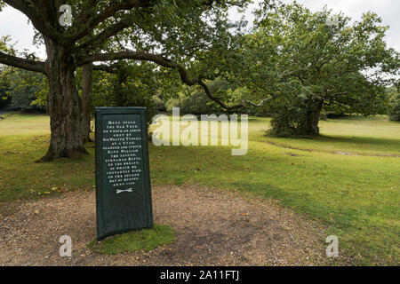 Rufus Stone New Forest. Traditionnellement, elle marque le lieu où Guillaume II (William Rufus) a été tué dans un accident de chasse. Banque D'Images