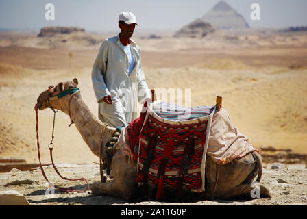 Le Caire / Giza, Egypte - 7 mai 2008 - Camel rider dans le désert du Sahara. Chameau et bédouine près des Pyramides. Banque D'Images