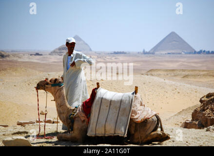 Le Caire / Giza, Egypte - 7 mai 2008 - Camel rider dans le désert du Sahara. Chameau et bédouine près des Pyramides. Banque D'Images