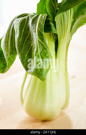 Pak choi vegetable on a wooden surface Banque D'Images