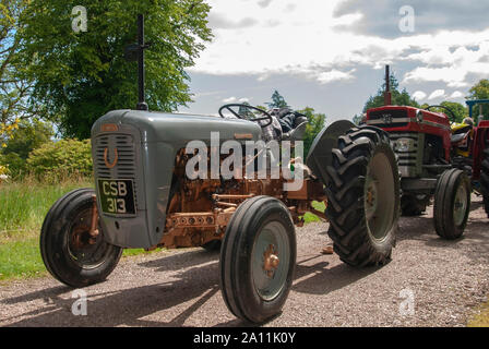 Immaculée 1957 Massey Ferguson gris ventre or FE35 Tracteur modèle île de Bute Ecosse Royaume-Uni passagers avant vue côté gauche Banque D'Images