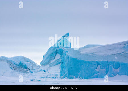 Congelé Icebergs/emprisonné dans la glace de mer. Snow Hill Island, l'Antarctique Banque D'Images