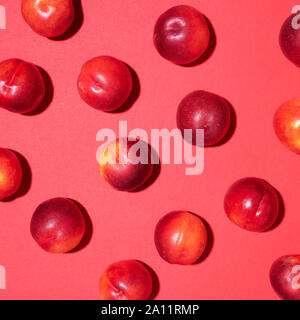 Les nectarines sur fond rouge. Cadre fait de fruits frais. Mise à plat, vue du dessus, copiez l'espace. Régime végétarien et végétalien. Banque D'Images