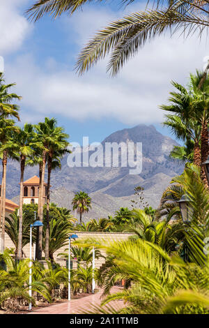 Recherche le long d'une allée piétonne bordée de palmiers sur la Costa Adeje, Roque del Conde en arrière-plan, Tenerife, Canaries, Espagne Banque D'Images