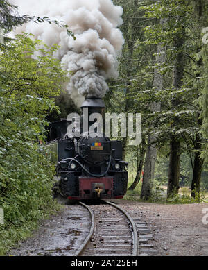 Train à vapeur roumaine souffle moteur fumer comme elle est à la sortie de la forêt dans la vallée de Vaser, Maramures Banque D'Images