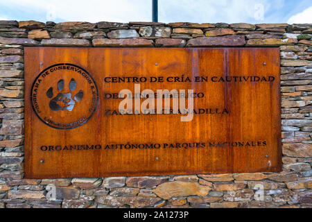 Le Lynx ibérique - LINCE IBÉRICO ((Lynx pardinus), Centre d'élevage en captivité du Lynx ibérique, Zarza de Granadilla, Cáceres, Extremadura, Espagne, Europe Banque D'Images