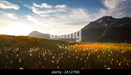 Viromdalen vallée de montagne au coeur du Parc National de Trollheimen, Summertime, au milieu de la Norvège. Banque D'Images