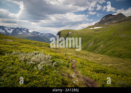 Vue depuis la vallée dans Renndalen Trollheimen montagnes, parc national norvégien de summertime. Banque D'Images