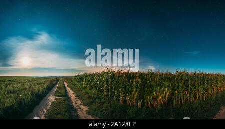 Lune en nuit Ciel étoilé au-dessus de paysage avec des routes de campagne à travers champs de maïs vert et pré. Plantation de maïs maïs en été mer agricole Banque D'Images