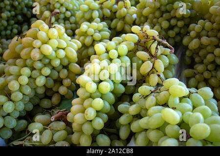 L'arrière-plan sans pépins de raisin, de texture. Les raisins frais jaune vert bouquet sur l'écran du marché, vue en gros Banque D'Images