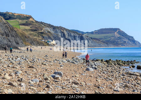 Des foules de gens sur chasse aux fossiles charmouth station balnéaire, l'effritement des strates falaise chasse aux fossiles, plages, côte sud, England, UK, FR Banque D'Images