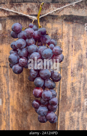Groupe de grappes suspendues rouge sur fond de bois. Grappe de raisins mûrs. Entreprise vinicole. Décoration pour festival du vin. International Wine Festival. Production de raisin, la récolte. Banque D'Images
