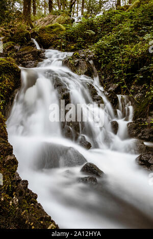 Tom Gill devient inférieure Tarn Hows, près de Coniston, Lake District, Cumbria, Angleterre Banque D'Images