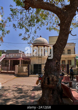 04 Mar 2019 tronc de l'arbre neem hough et l'alimentation des oiseaux connu comme chabutro à Hinglaj sabarkantha idar village Gujarat Inde Banque D'Images