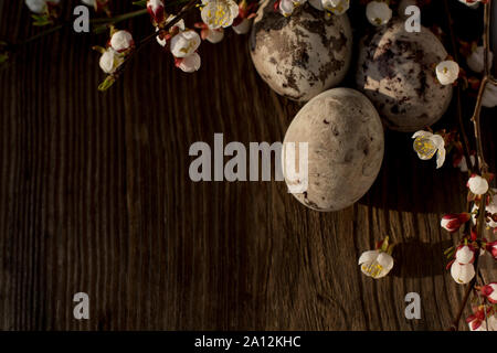 Des œufs de Pâques dans le nid. Décoration de Pâques Banque D'Images