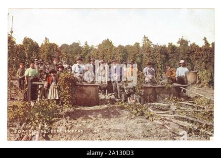 Au début des années 1900 Carte postale teintée d'accueil vendangeurs hop picking, Kent, Royaume-Uni vers 1906. Banque D'Images