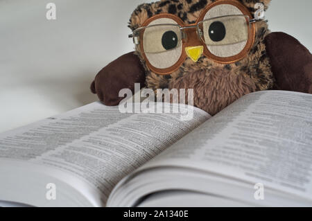 Chouette jouet avec des lunettes de lecture sur un dictionnaire 2 Banque D'Images