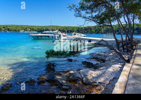 Rocky seashore sur Croatie islans avec de l'eau turquoise de navires et de pins Banque D'Images