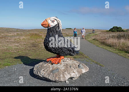 Un géant le macareux huppé le long d'une plage à pied dans la région de Bandon, Oregon. Le macareux moine, et de nombreux autres éléments de l'art dans l'Bandon, a été faite à partir de la corbeille forci t Banque D'Images