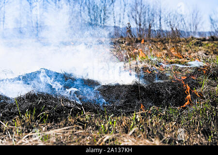 Le feu sur le terrain au printemps. Un close up Banque D'Images