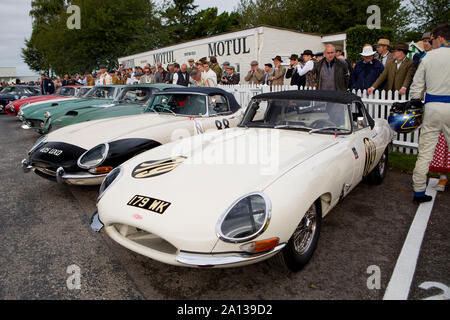 1961 Jaguar E-type entraîné par Chris Milner & Nigel Greensall Kinrara dans la course pour le trophée au Goodwood Revival 13 Sept 2019 à Chichester, Angleterre. Banque D'Images