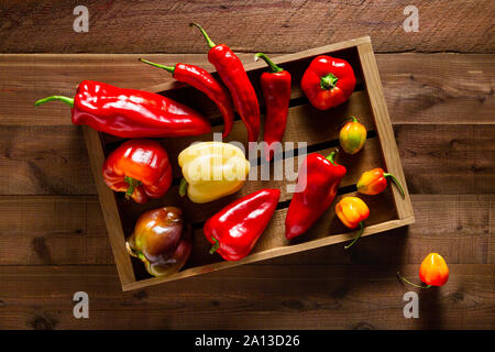 Assortiment de poivrons frais sur un fond de bois foncé texturé Banque D'Images