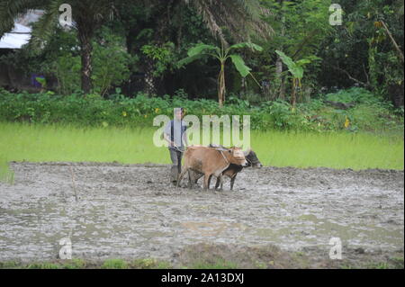 28 juillet 2012. Coxs Bazar, le Bangladesh. Au camp de réfugiés rohingyas au Bangladesh Banque D'Images