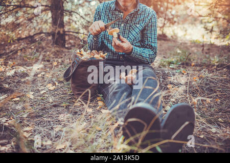 Man nettoie les champignons dans la forêt. L'activité de l'automne. Saison d'automne Banque D'Images