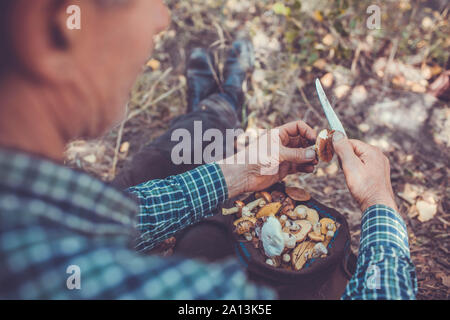 Man nettoie les champignons dans la forêt. L'activité de l'automne. Saison d'automne Banque D'Images