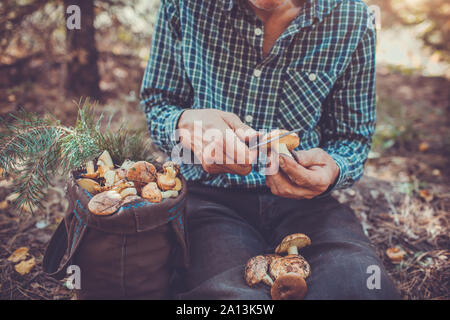 Man nettoie les champignons dans la forêt. L'activité de l'automne. Saison d'automne Banque D'Images