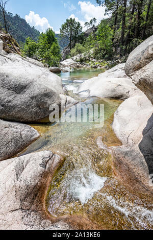 River Canyon Purcaraccia en flux dans Bavella en été. Corse France Banque D'Images