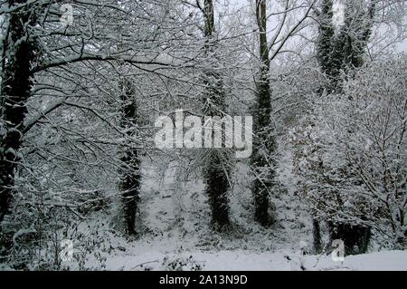 Neige 011210 Dordolo Banque D'Images