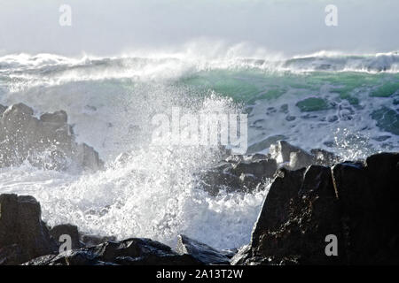 Mur d'eau comme les vagues turbulentes - tsunami de l'océan Pacifique de plus de 8 mètres (lourd) et beauté sauvage de rochers basaltiques Banque D'Images