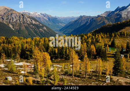 Col Jumbo, British Columbia, Canada, à l'automne avec Golden Larch. Paysage de montagnes Purcell Banque D'Images
