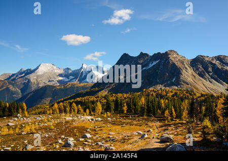Col Jumbo, British Columbia, Canada, à l'automne avec Golden Larch. Paysage de montagnes Purcell Banque D'Images