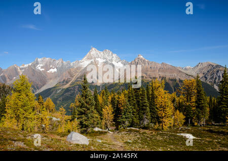 Col Jumbo, British Columbia, Canada, à l'automne avec Golden Larch. Paysage de montagnes Purcell Banque D'Images