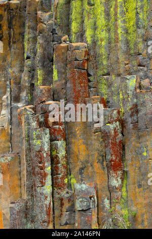 Des orgues basaltiques Soda Springs, Umpqua National Forest, Rogue-Umpqua National Scenic Byway, Oregon Banque D'Images