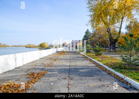 Kiev-na-Kubani, Russie - septembre 9, 2016 : Le chemin parsemé de Jaune automne les feuilles des arbres. Allée d'automne. Banque D'Images