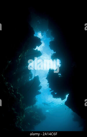 Un plongeur nage au-dessus d'une crevasse de récif entre les îles de Raja Ampat, en Indonésie. Banque D'Images