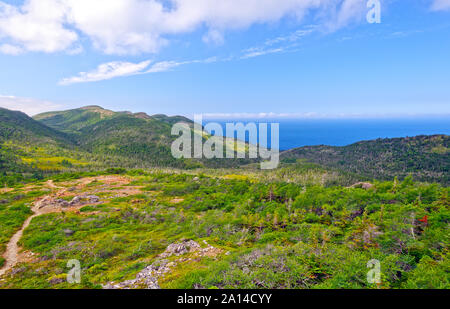 Les jardins verts Trail dans le parc national du Gros-Morne Banque D'Images