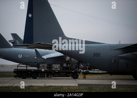 Les aviateurs de l'US Air Force pousser une palette de marchandises sur un chargeur sur un cargo de l'Armée de l'air chilienne Hercules C-130, en préparation d'une mission de largage sur Beller zone de chute pendant l'exercice 2019, Guardian Mobility Fairchild Air Force Base, Washington, 23 septembre 2019. La mobilité de l'exercice est gardien de l'Air Mobility Command, premier exercice de la mobilité à grande échelle. La participation des partenaires internationaux dans le domaine de la mobilité d'un tuteur est indispensable à l'amélioration des partenariats nécessaires pour fournir rapidement à la mobilité mondiale. Au total, 29 partenaires participent à l'exercice. (U.S. Air Force photo de Tech. Le Sgt. Larry E. Reid Jr. Banque D'Images