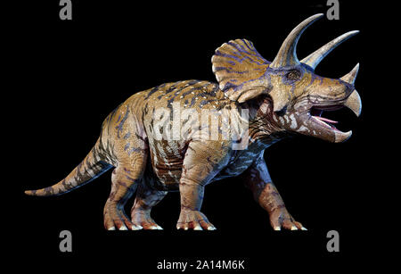 Le rendu 3D d'un tricératops, vue en perspective sur fond noir. Banque D'Images