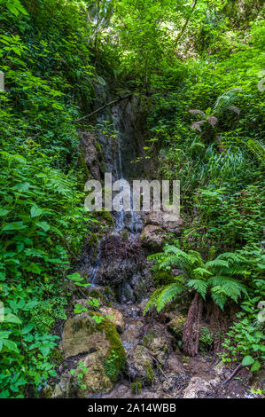 Axée sur la nature de la vallée de la 'réserve Ferriere ' à Amalfi (Italie) Banque D'Images