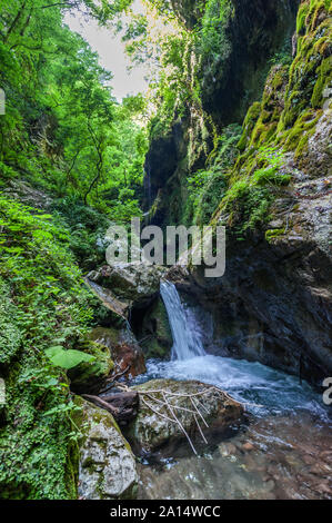 Axée sur la nature de la vallée de la 'réserve Ferriere ' à Amalfi (Italie) Banque D'Images