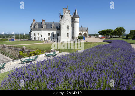 France La résidence royale d'Amboise : en 2018, un monument historique de la vallée de la Loire et lieu de repos de l'artiste Léonard de Vinci et est maintenant un Banque D'Images