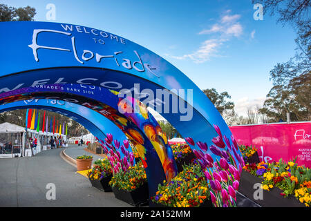 Les visiteurs d'admirer la masse de tulipes colorées à la Floriade 2019 show, Canberra, ACT, Australie. Banque D'Images